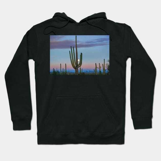 Saguaro And Moon Saguaro National Park Hoodie by AinisticGina